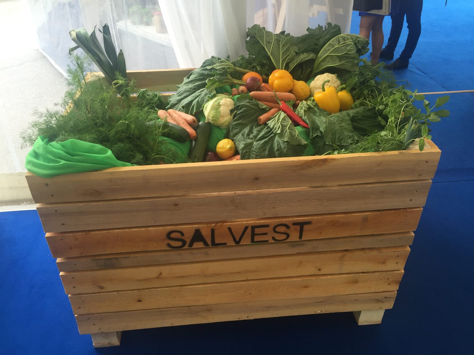 Salvest 70